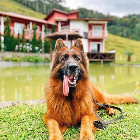 Ampla Casa De Campo - Afaven Aguas Mornas エクステリア 写真