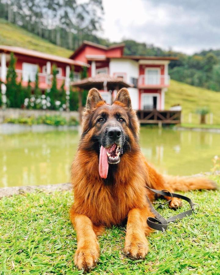 Ampla Casa De Campo - Afaven Aguas Mornas エクステリア 写真