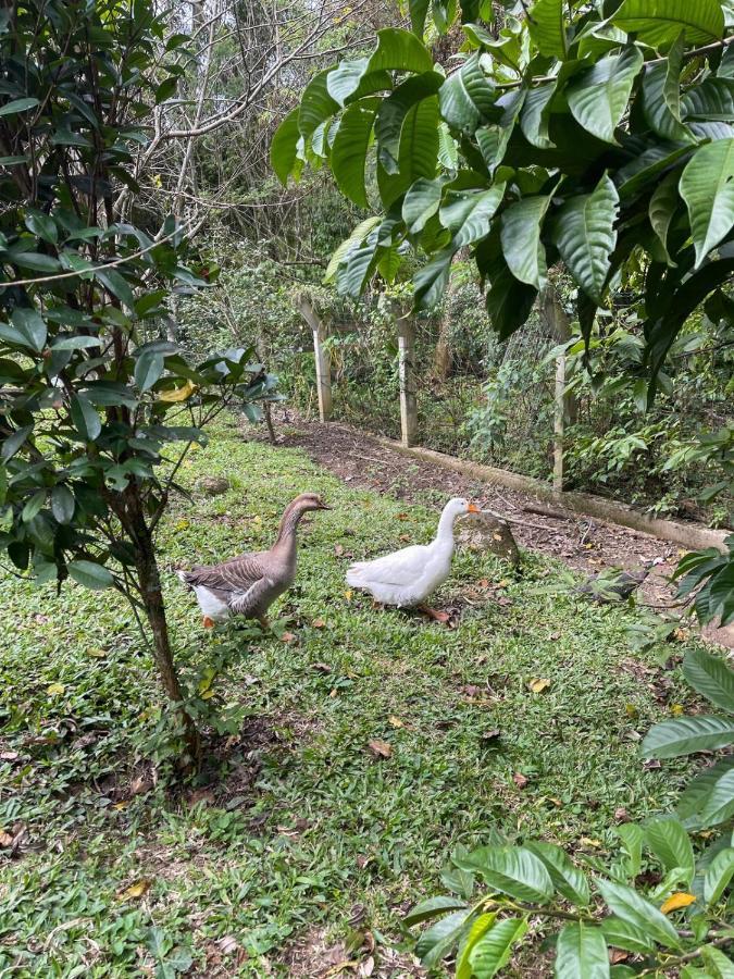 Ampla Casa De Campo - Afaven Aguas Mornas エクステリア 写真